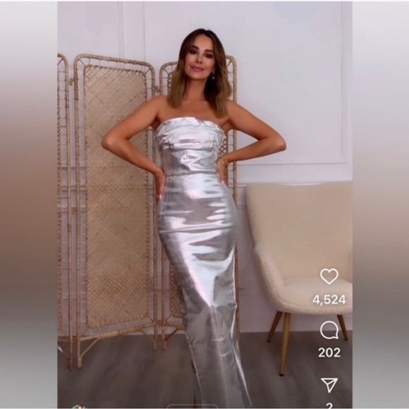 ZARA Bloggers Fav Metallic Dress - Picture 11 of 17